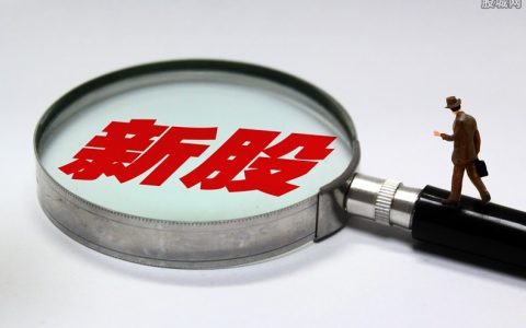 期货刘强老婆(期货刘强妻子)
